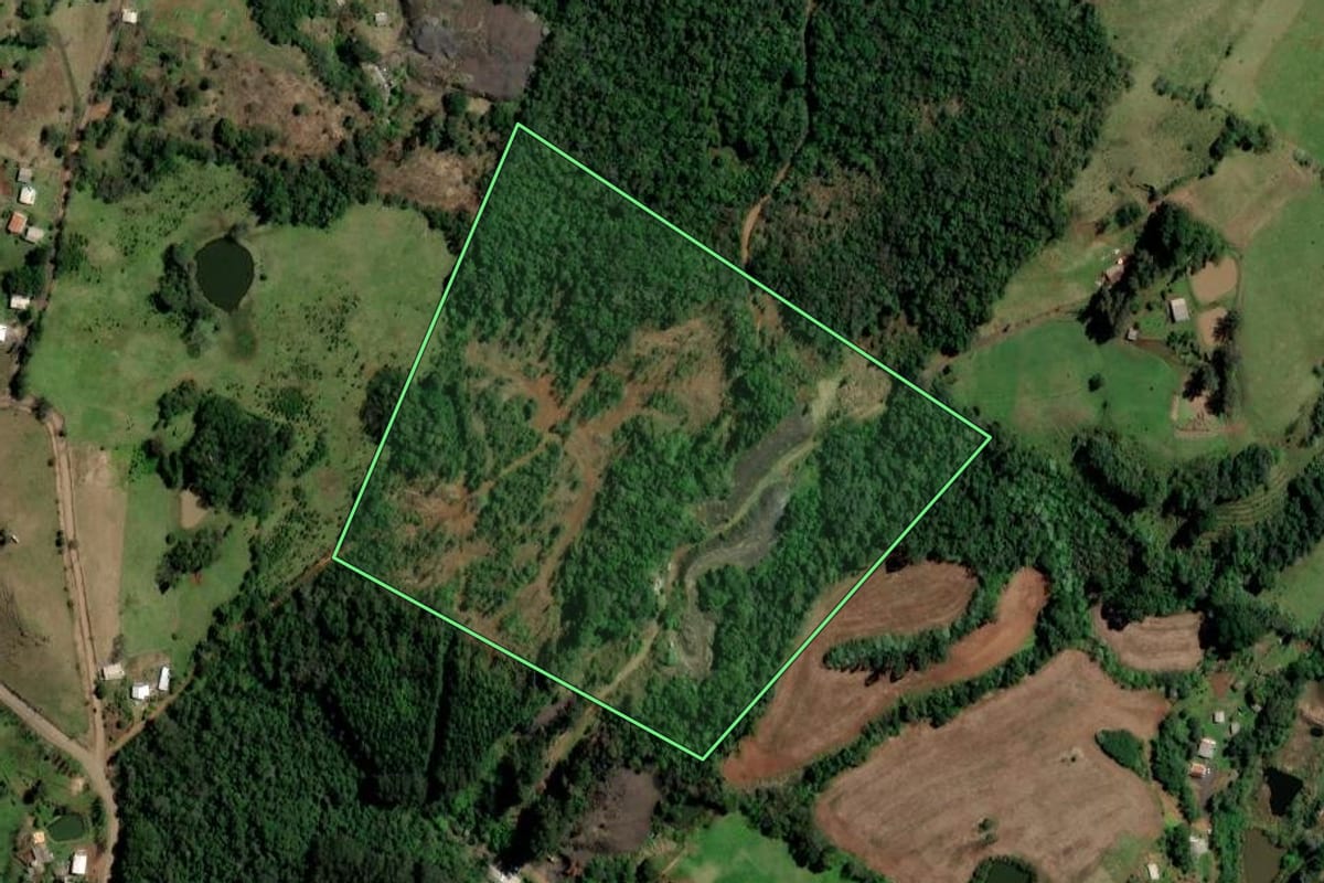 Imagem de satélite do imóvel rural em Ametista do Sul (RS), com o contorno declarado no CAR desenhado por cima.