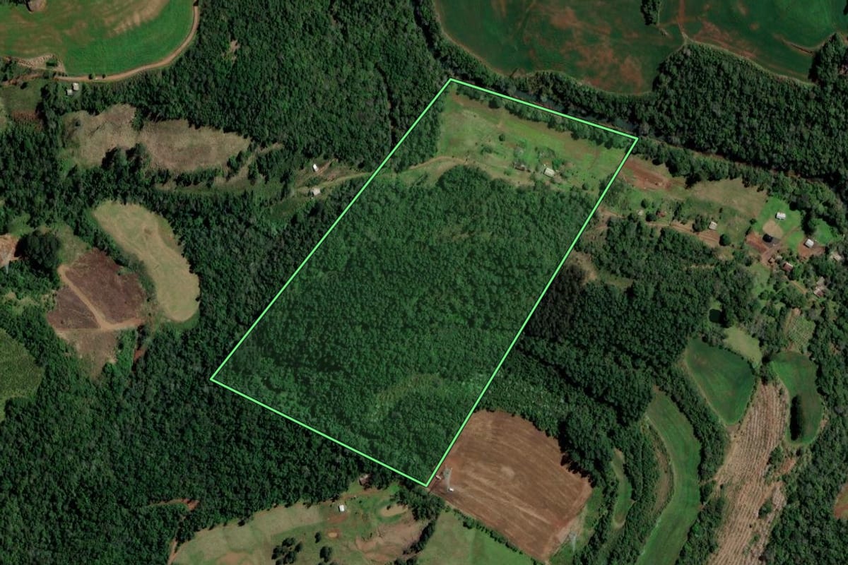 Imagem de satélite do imóvel rural em Ametista do Sul (RS), com o contorno declarado no CAR desenhado por cima.