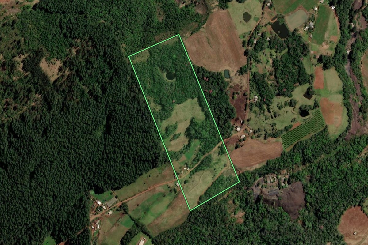 Imagem de satélite do imóvel rural em Ametista do Sul (RS), com o contorno declarado no CAR desenhado por cima.
