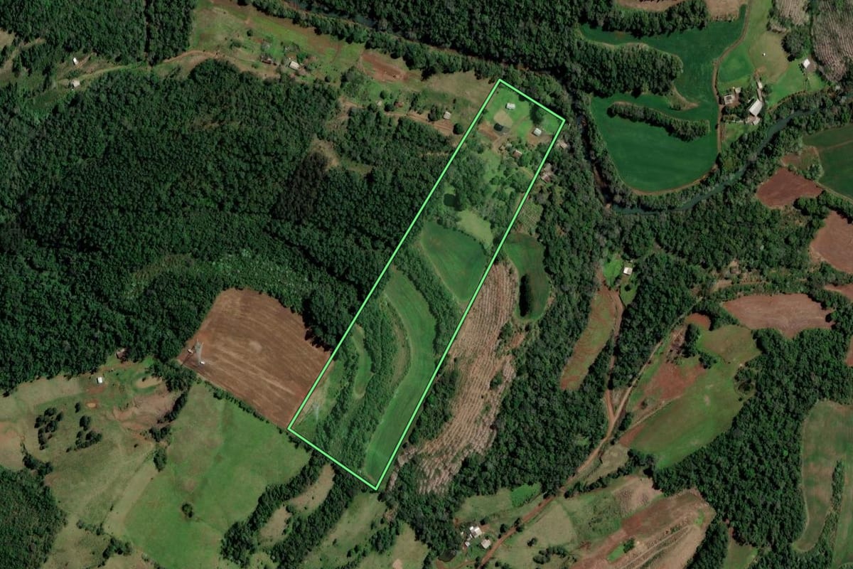 Imagem de satélite do imóvel rural em Ametista do Sul (RS), com o contorno declarado no CAR desenhado por cima.