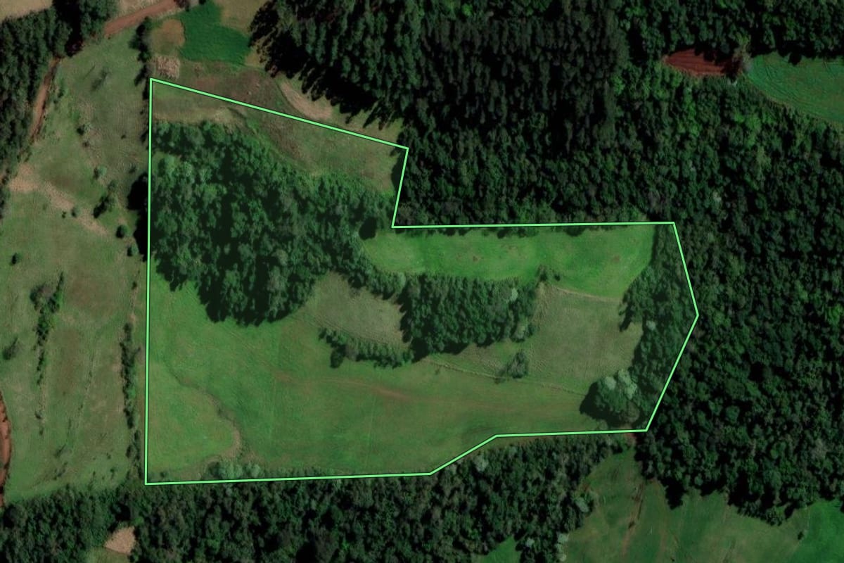 Imagem de satélite do imóvel rural em Ametista do Sul (RS), com o contorno declarado no CAR desenhado por cima.