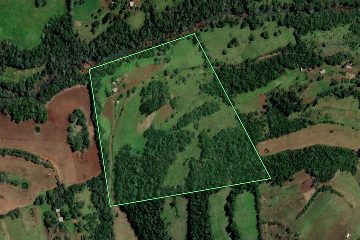 Imagem de satélite do imóvel rural em Ametista do Sul (RS), com o contorno declarado no CAR desenhado por cima.