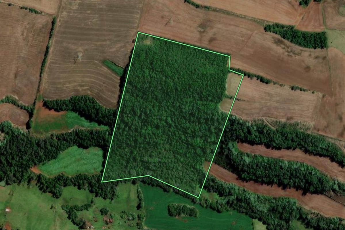 Imagem de satélite do imóvel rural em Ametista do Sul (RS), com o contorno declarado no CAR desenhado por cima.