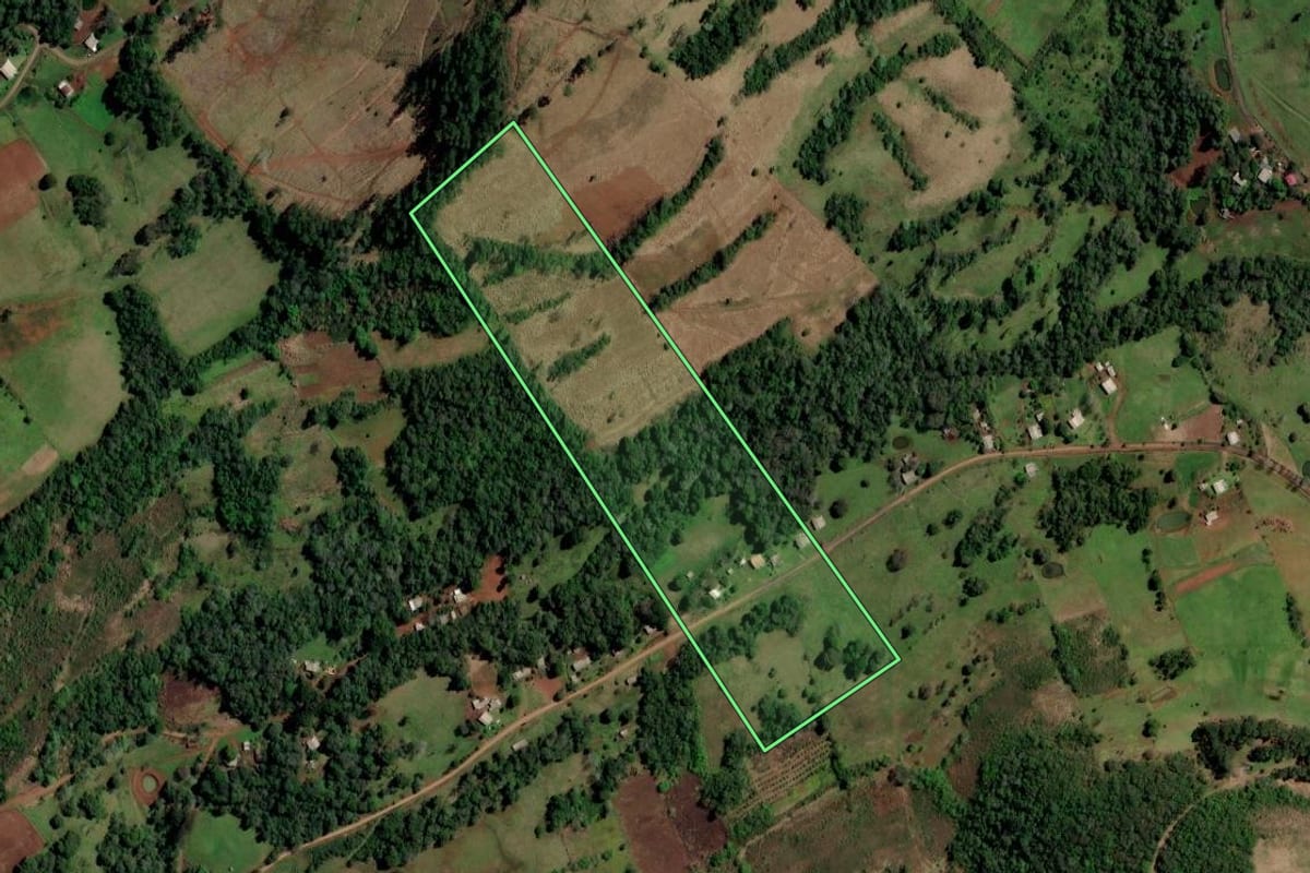 Imagem de satélite do imóvel rural em Ametista do Sul (RS), com o contorno declarado no CAR desenhado por cima.