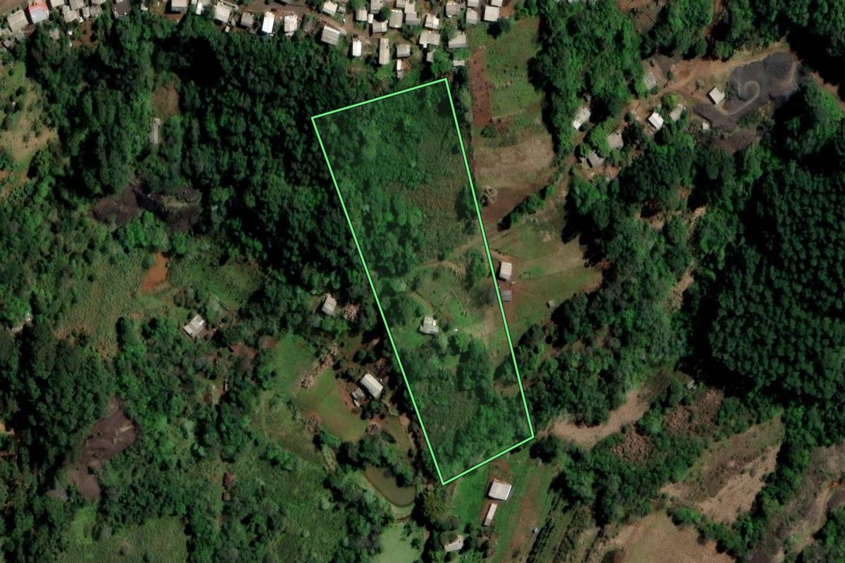 Imagem de satélite do imóvel rural em Ametista do Sul (RS), com o contorno declarado no CAR desenhado por cima.