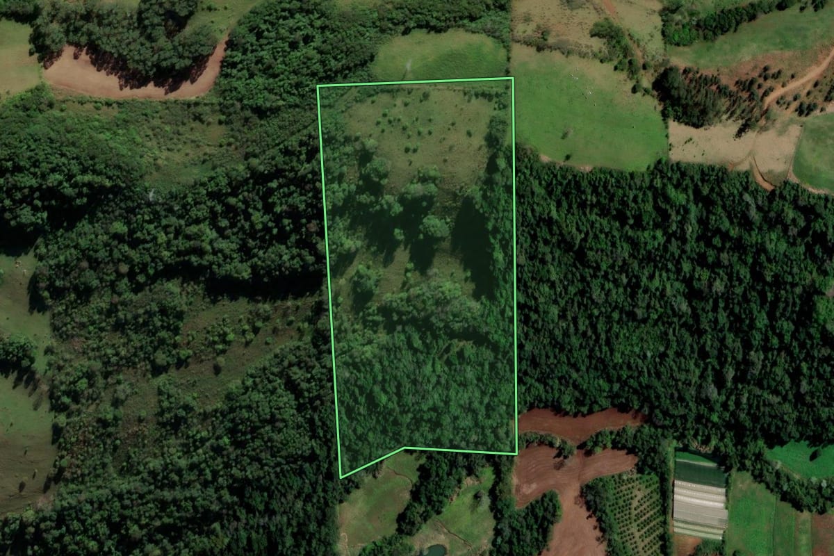 Imagem de satélite do imóvel rural em Ametista do Sul (RS), com o contorno declarado no CAR desenhado por cima.