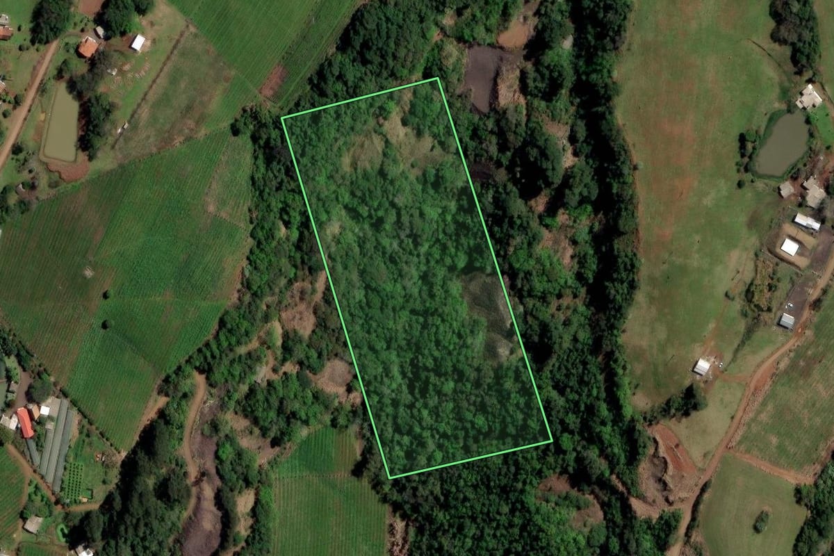 Imagem de satélite do imóvel rural em Ametista do Sul (RS), com o contorno declarado no CAR desenhado por cima.