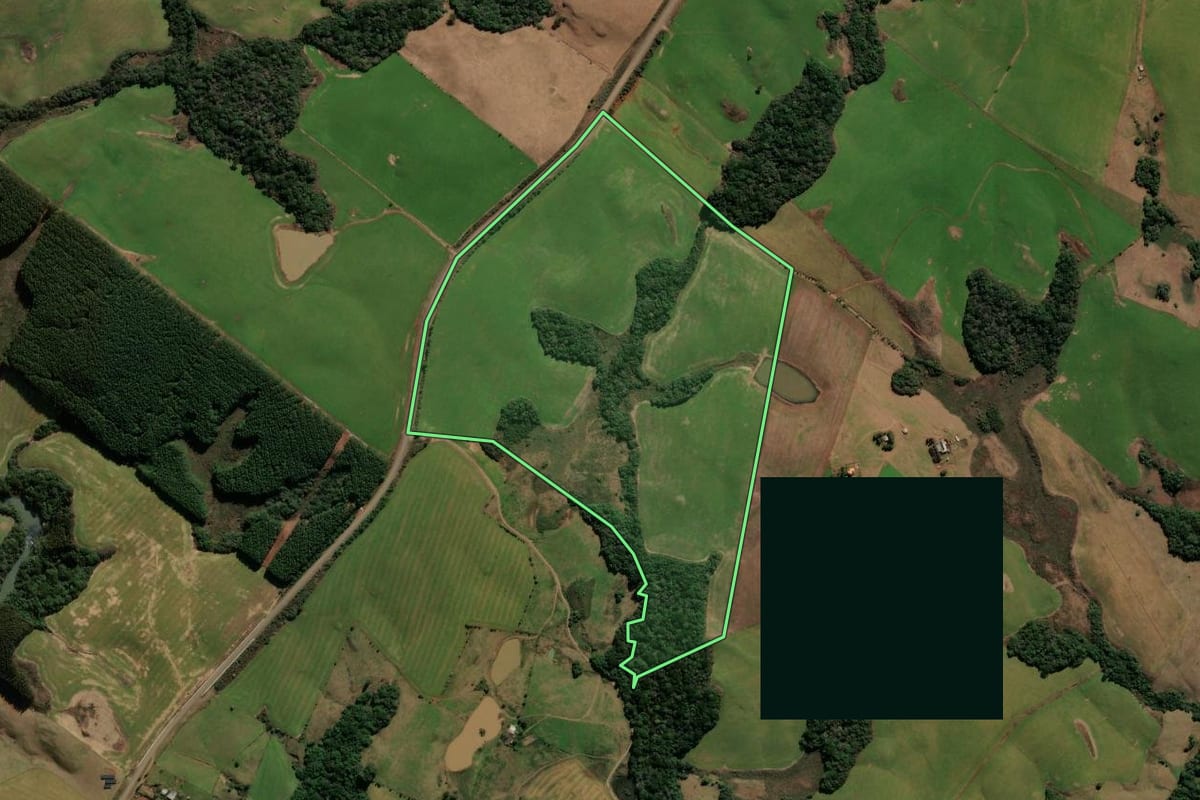 Imagem de satélite do imóvel rural em André da Rocha (RS), com o contorno declarado no CAR desenhado por cima.