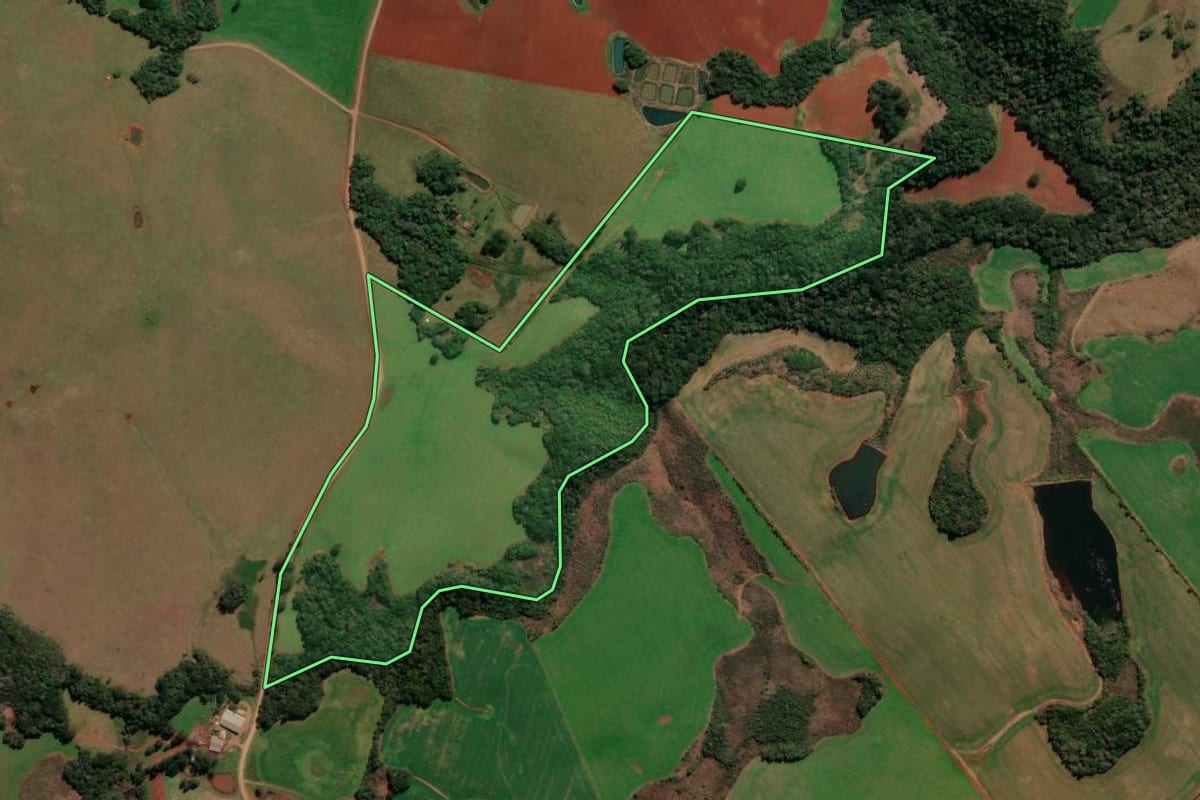 Imagem de satélite do imóvel rural em André da Rocha (RS), com o contorno declarado no CAR desenhado por cima.