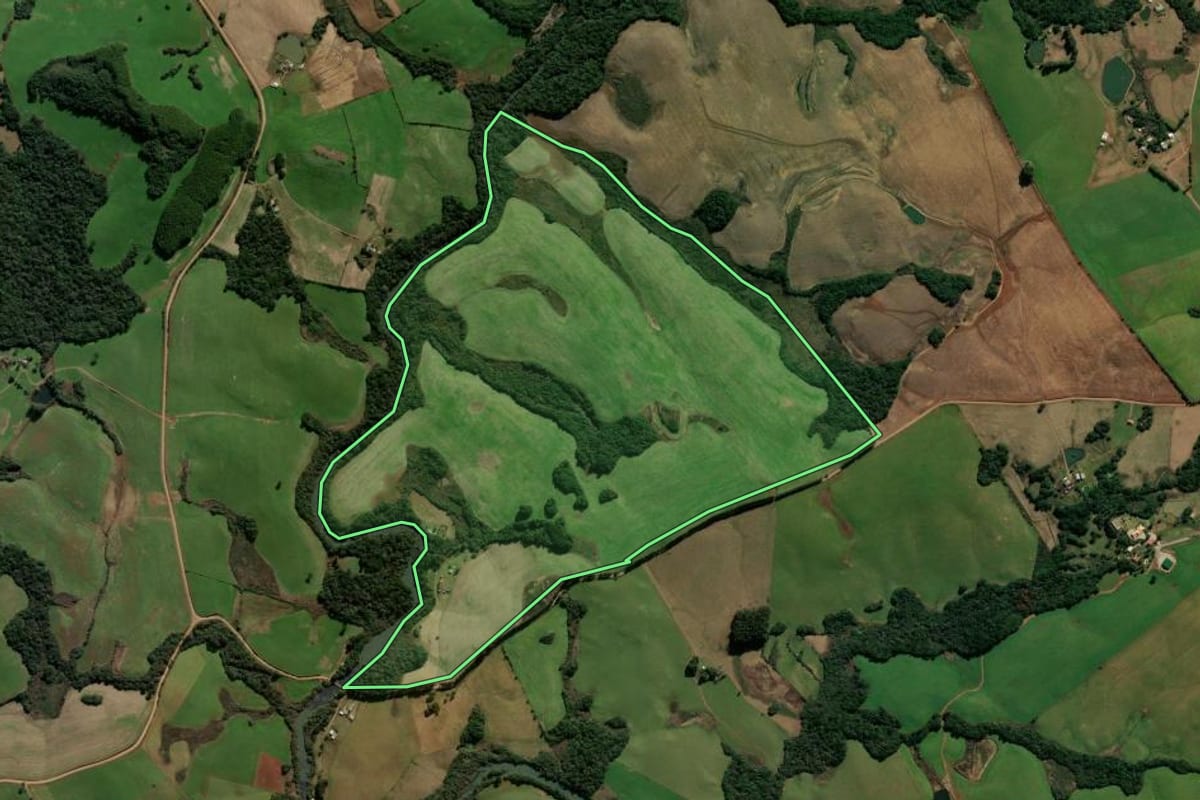 Imagem de satélite do imóvel rural em André da Rocha (RS), com o contorno declarado no CAR desenhado por cima.