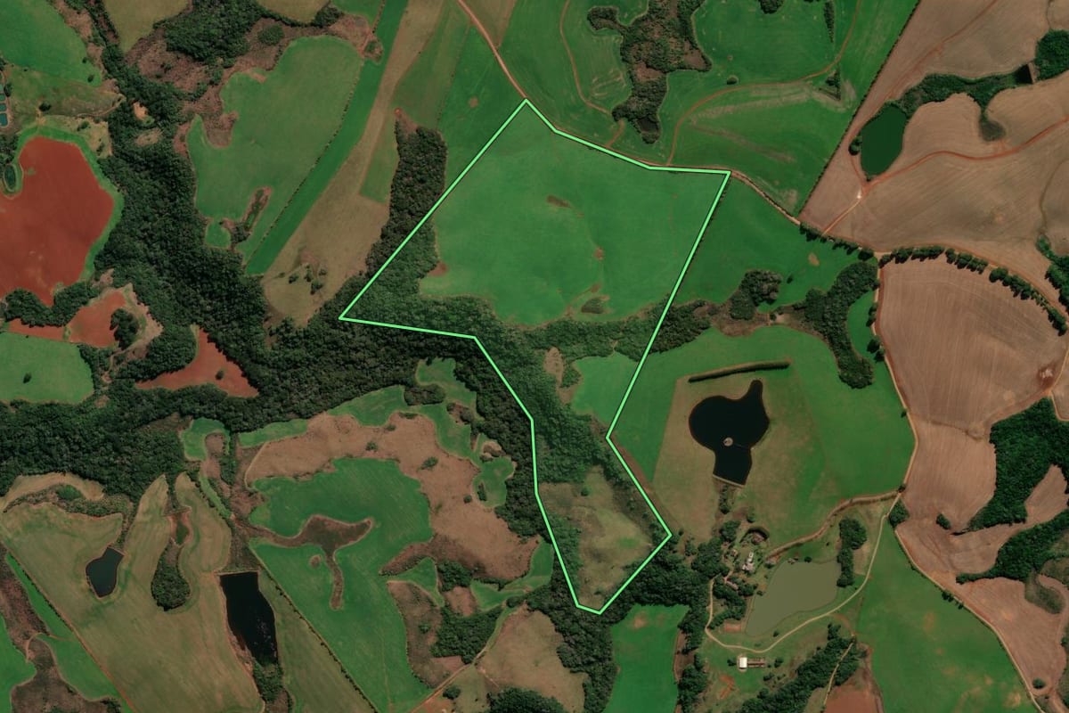 Imagem de satélite do imóvel rural em André da Rocha (RS), com o contorno declarado no CAR desenhado por cima.