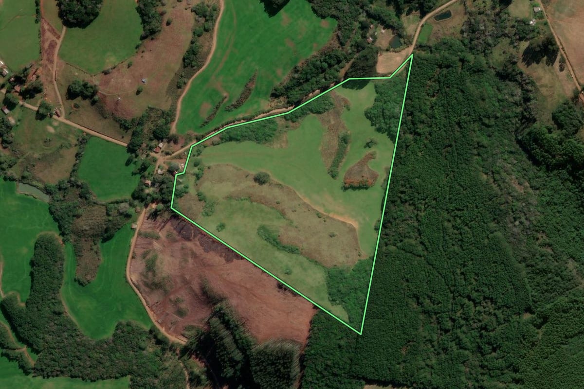 Imagem de satélite do imóvel rural em André da Rocha (RS), com o contorno declarado no CAR desenhado por cima.