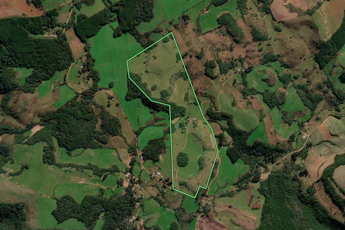 Imagem de satélite do imóvel rural em André da Rocha (RS), com o contorno declarado no CAR desenhado por cima.