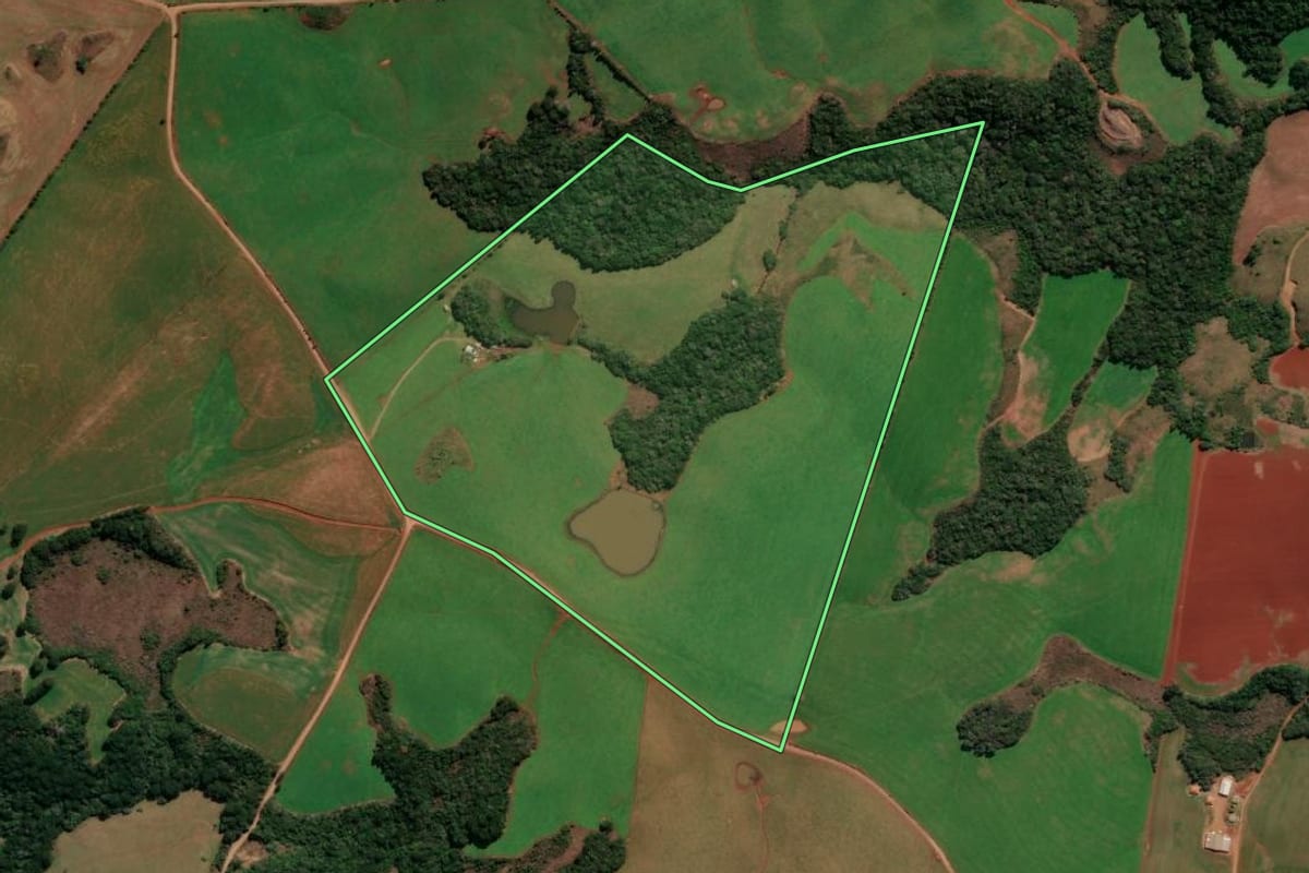 Imagem de satélite do imóvel rural em André da Rocha (RS), com o contorno declarado no CAR desenhado por cima.