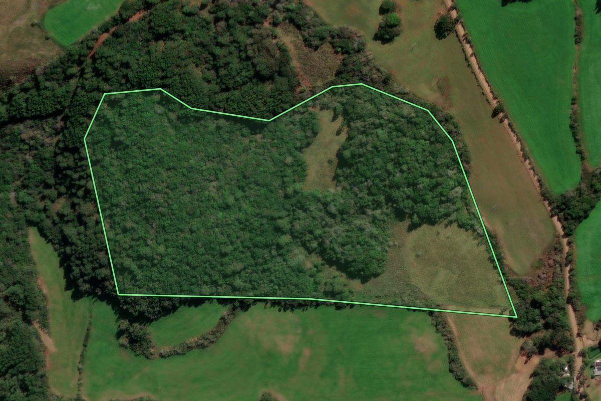 Imagem de satélite do imóvel rural em André da Rocha (RS), com o contorno declarado no CAR desenhado por cima.