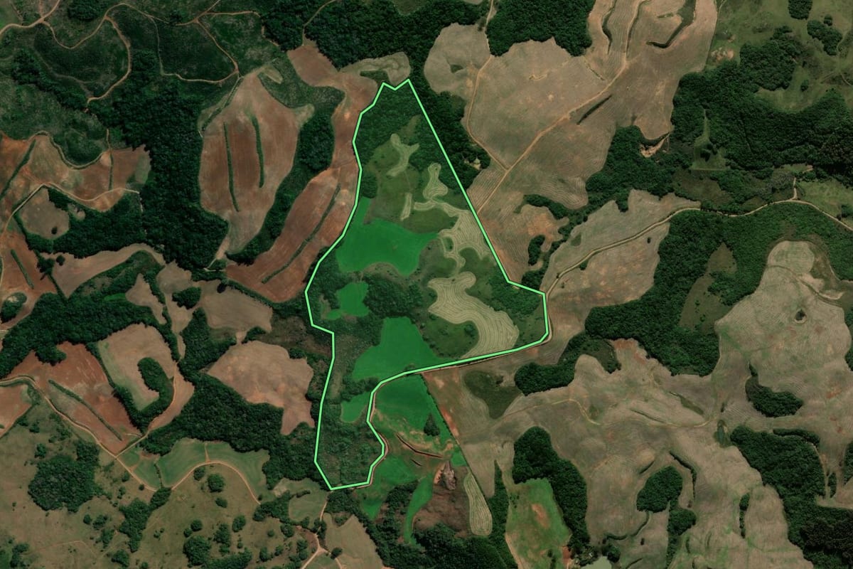 Imagem de satélite do imóvel rural em André da Rocha (RS), com o contorno declarado no CAR desenhado por cima.