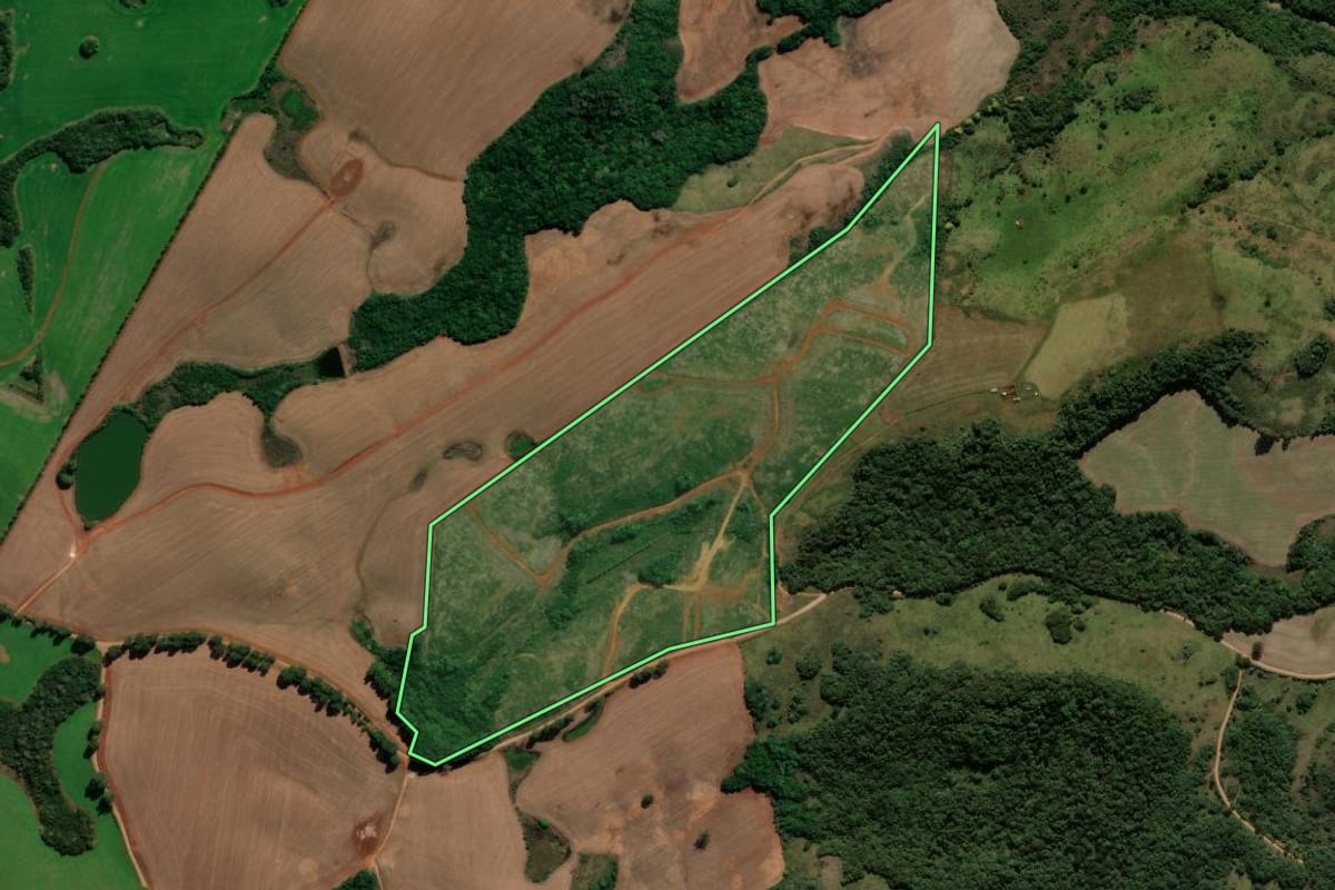 Imagem de satélite do imóvel rural em André da Rocha (RS), com o contorno declarado no CAR desenhado por cima.
