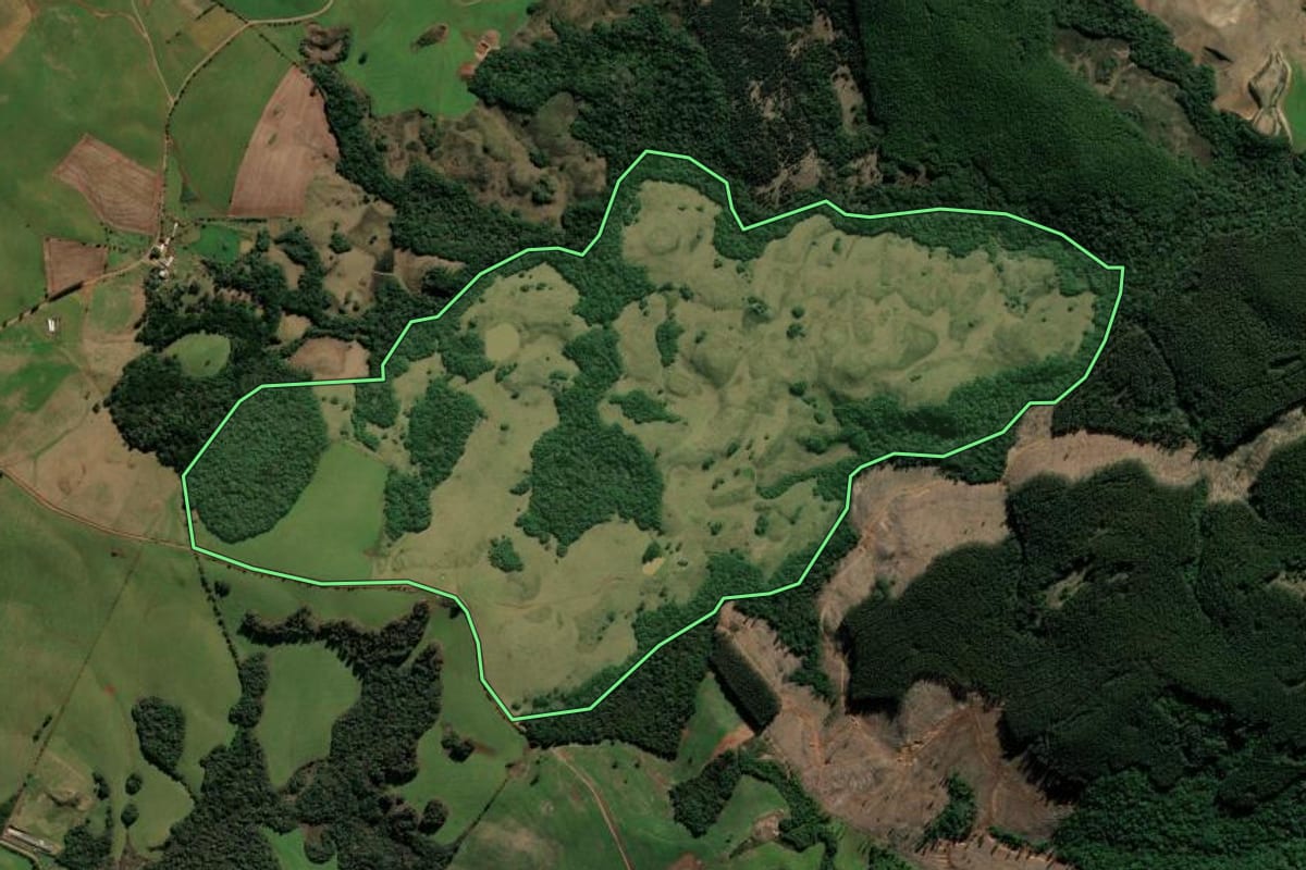 Imagem de satélite do imóvel rural em André da Rocha (RS), com o contorno declarado no CAR desenhado por cima.