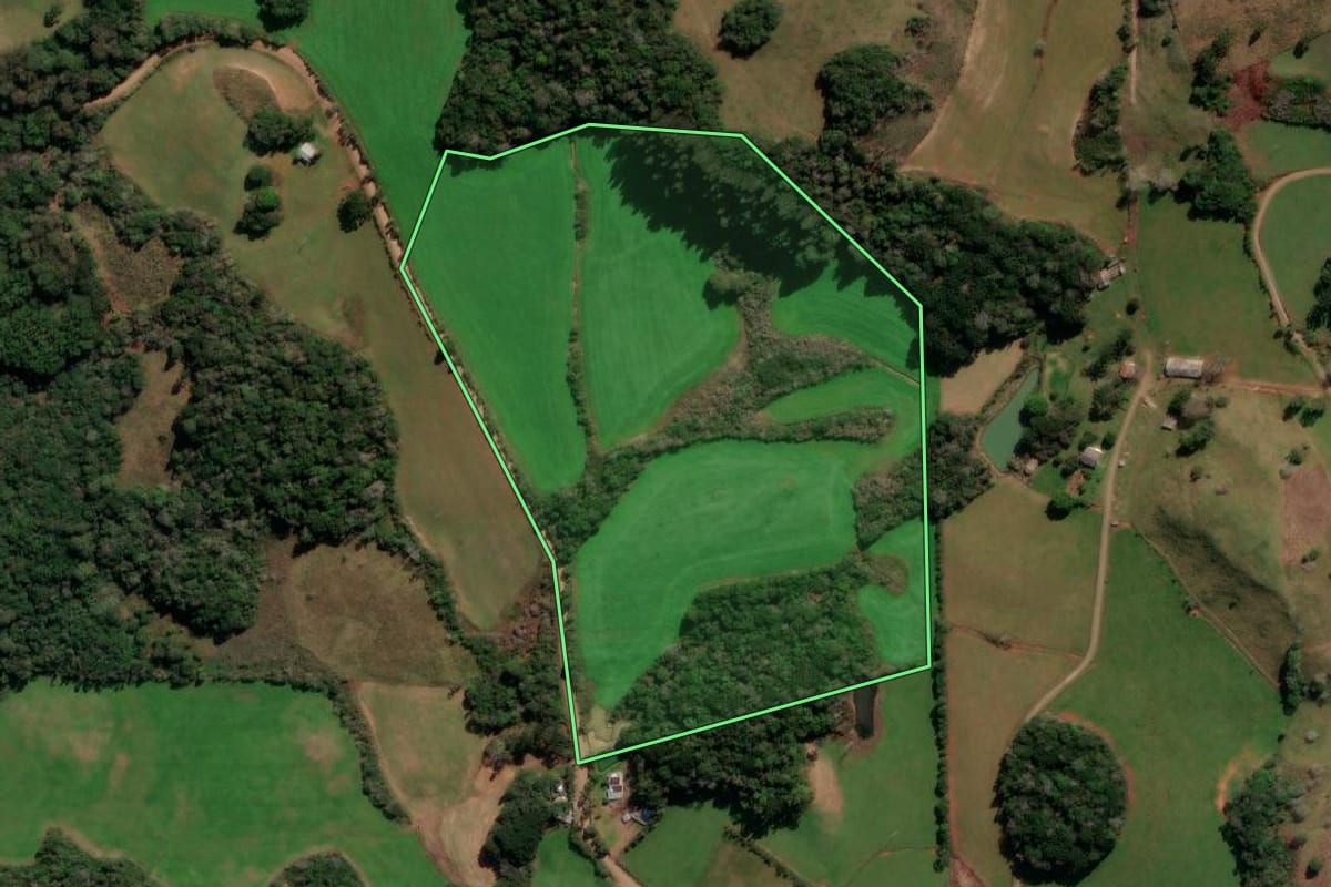 Imagem de satélite do imóvel rural em André da Rocha (RS), com o contorno declarado no CAR desenhado por cima.