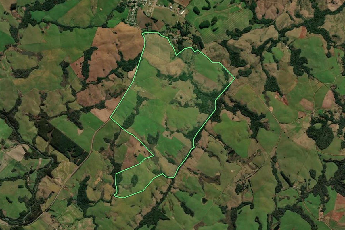 Imagem de satélite do imóvel rural em André da Rocha (RS), com o contorno declarado no CAR desenhado por cima.