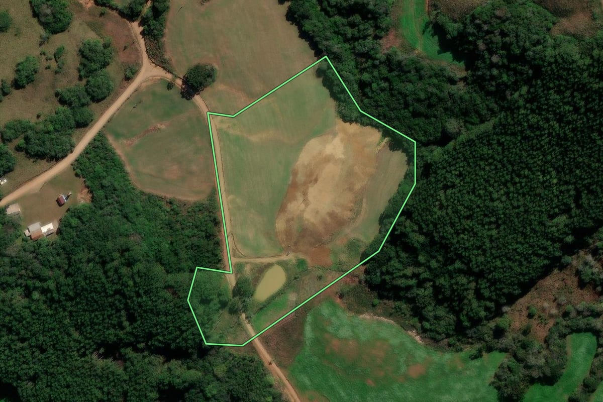 Imagem de satélite do imóvel rural em André da Rocha (RS), com o contorno declarado no CAR desenhado por cima.