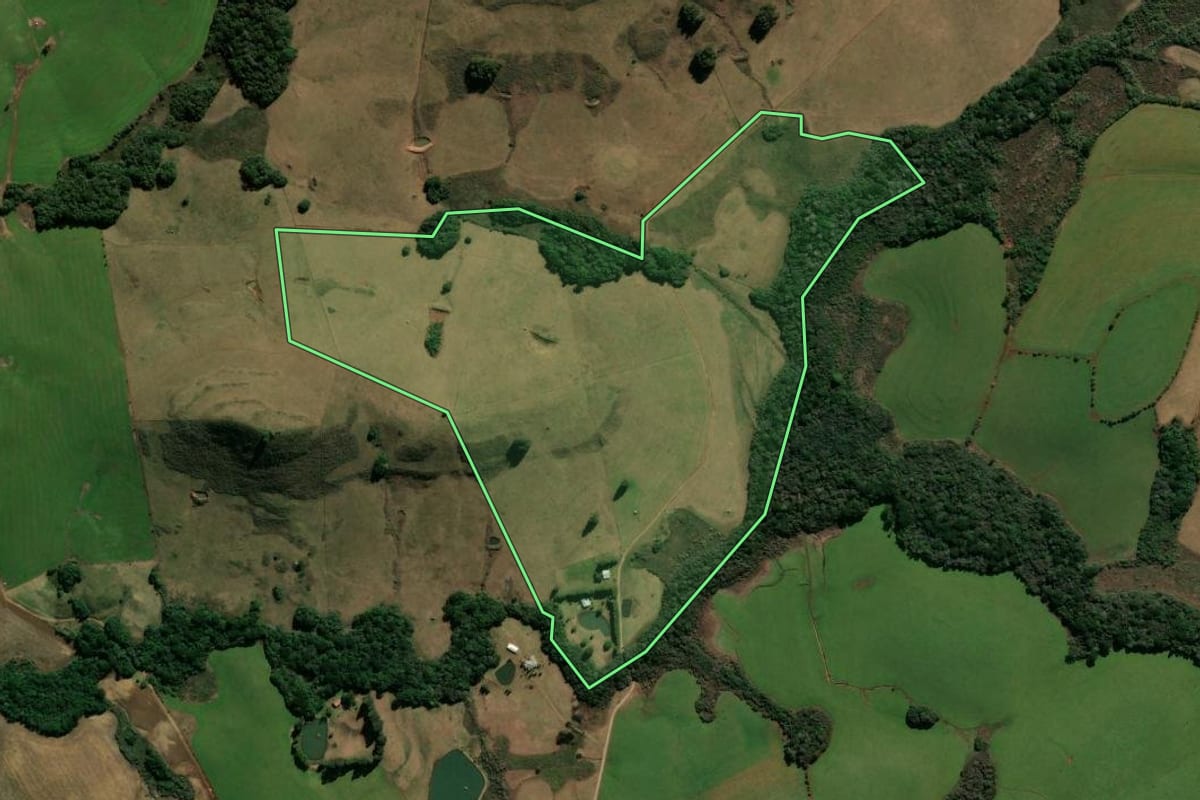 Imagem de satélite do imóvel rural em André da Rocha (RS), com o contorno declarado no CAR desenhado por cima.