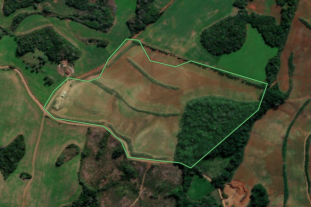 Imagem de satélite do imóvel rural em André da Rocha (RS), com o contorno declarado no CAR desenhado por cima.