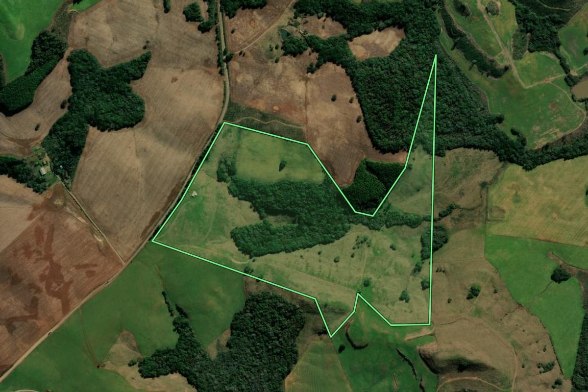 Imagem de satélite do imóvel rural em André da Rocha (RS), com o contorno declarado no CAR desenhado por cima.