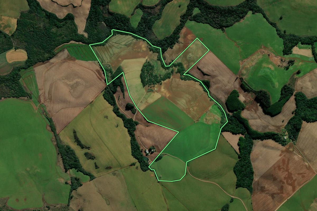 Imagem de satélite do imóvel rural em André da Rocha (RS), com o contorno declarado no CAR desenhado por cima.