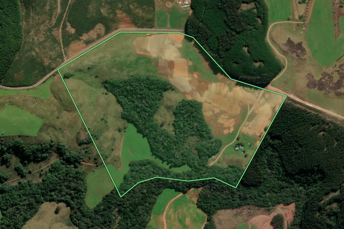 Imagem de satélite do imóvel rural em André da Rocha (RS), com o contorno declarado no CAR desenhado por cima.