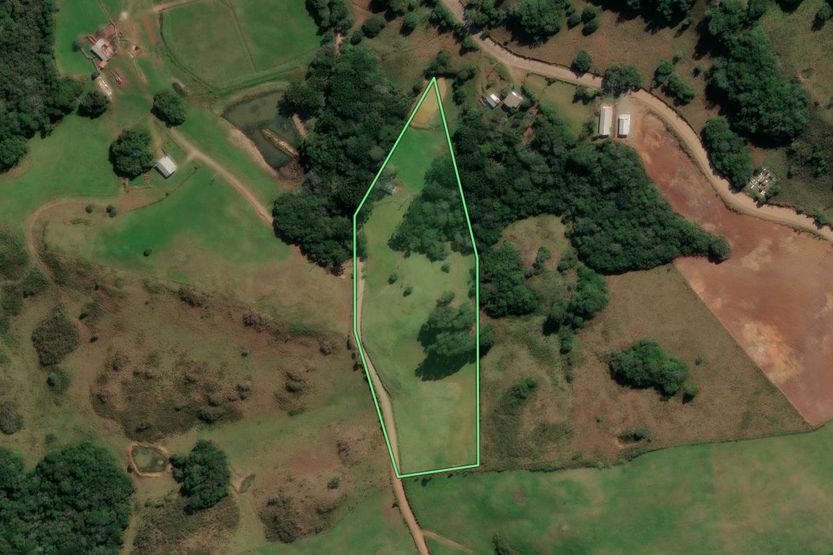 Imagem de satélite do imóvel rural em André da Rocha (RS), com o contorno declarado no CAR desenhado por cima.