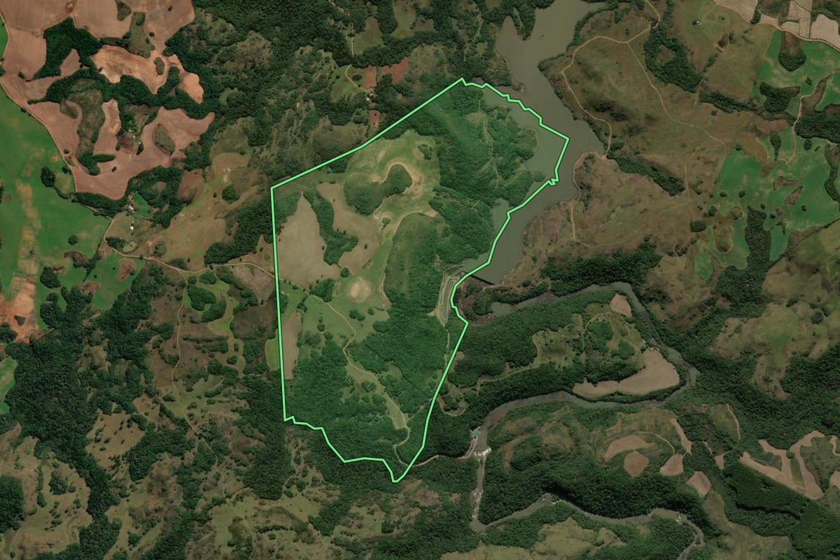 Imagem de satélite do imóvel rural em André da Rocha (RS), com o contorno declarado no CAR desenhado por cima.