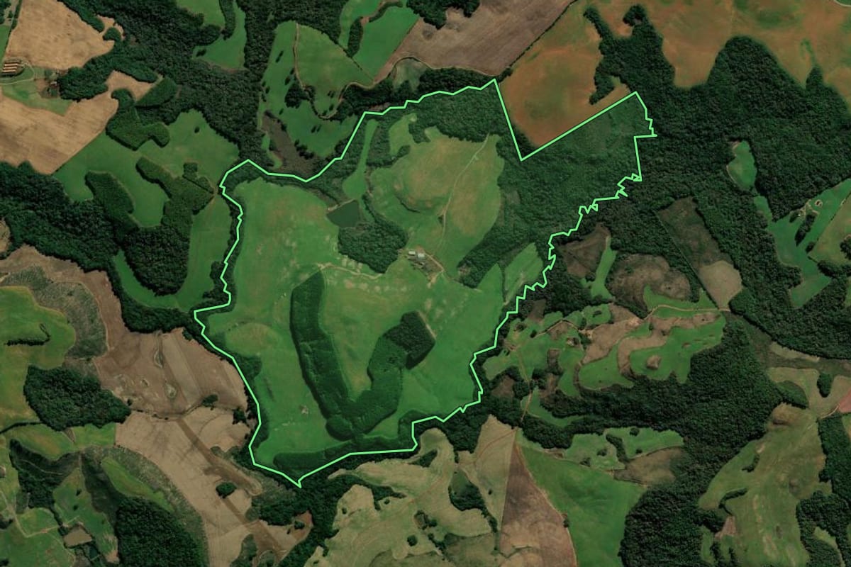 Imagem de satélite do imóvel rural em André da Rocha (RS), com o contorno declarado no CAR desenhado por cima.