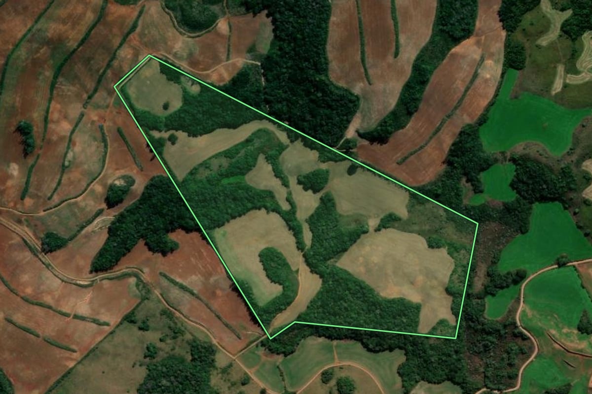Imagem de satélite do imóvel rural em André da Rocha (RS), com o contorno declarado no CAR desenhado por cima.