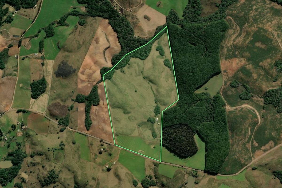 Imagem de satélite do imóvel rural em André da Rocha (RS), com o contorno declarado no CAR desenhado por cima.