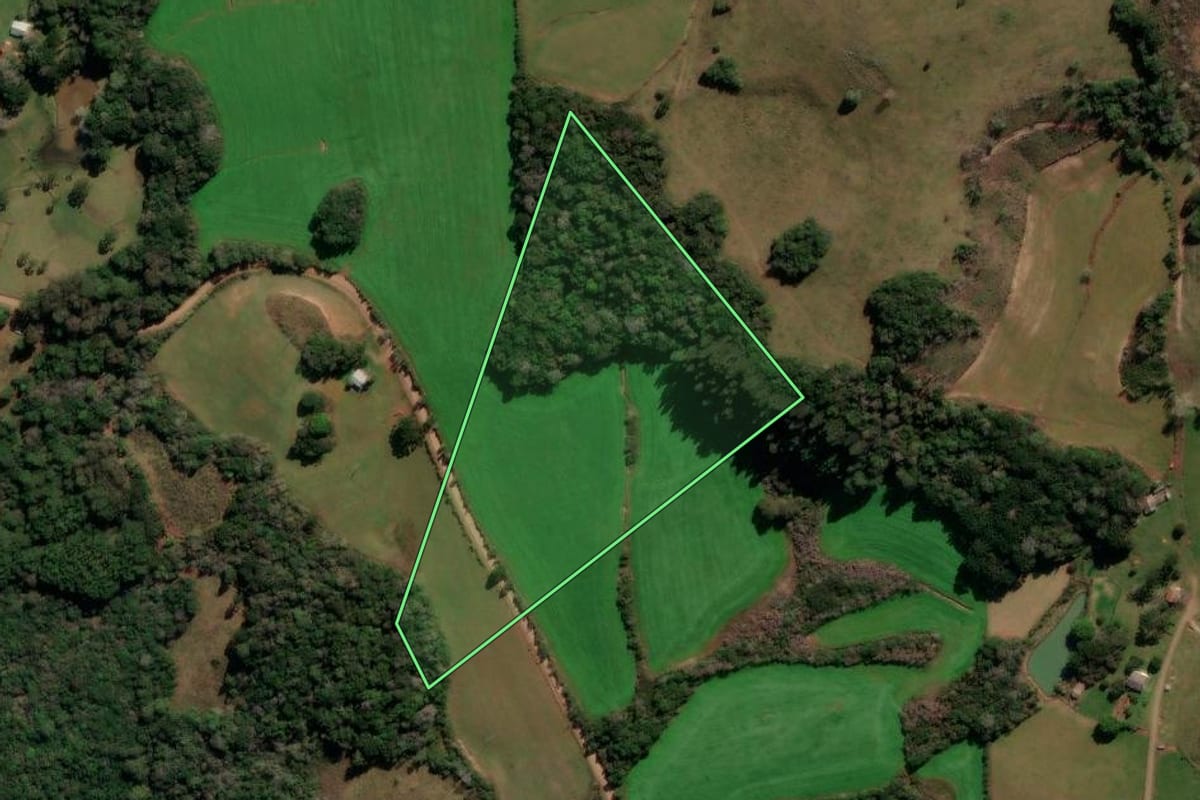 Imagem de satélite do imóvel rural em André da Rocha (RS), com o contorno declarado no CAR desenhado por cima.