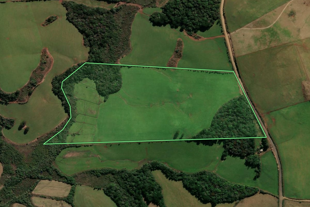 Imagem de satélite do imóvel rural em André da Rocha (RS), com o contorno declarado no CAR desenhado por cima.