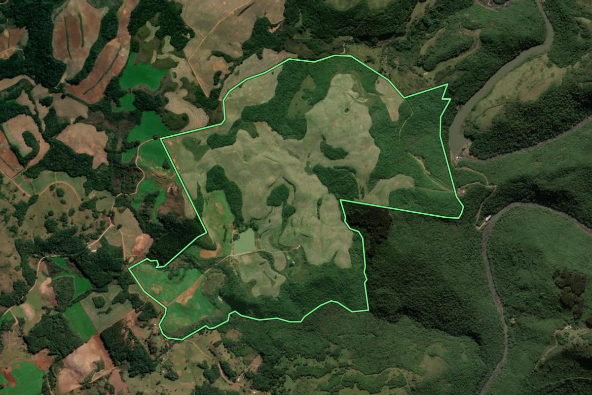 Imagem de satélite do imóvel rural em André da Rocha (RS), com o contorno declarado no CAR desenhado por cima.
