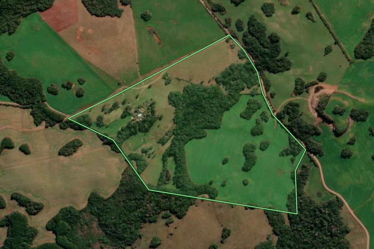 Imagem de satélite do imóvel rural em André da Rocha (RS), com o contorno declarado no CAR desenhado por cima.