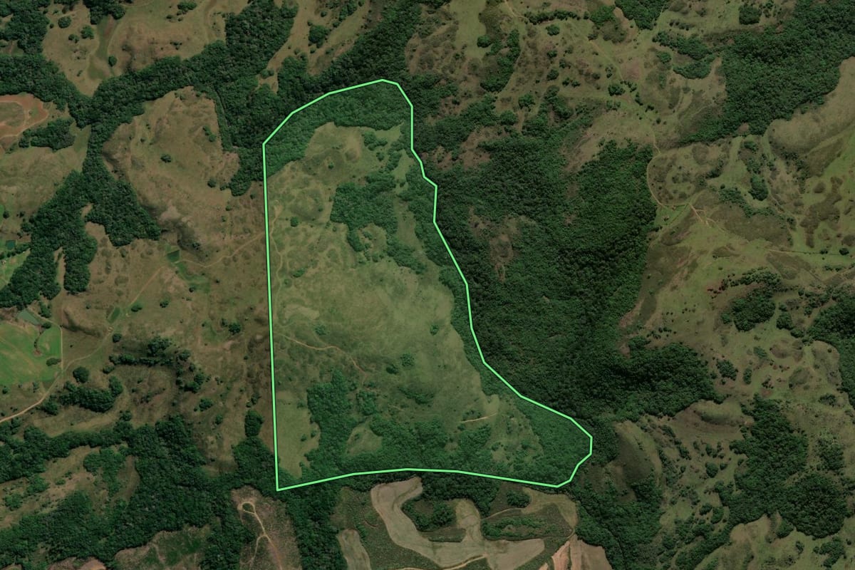 Imagem de satélite do imóvel rural em André da Rocha (RS), com o contorno declarado no CAR desenhado por cima.