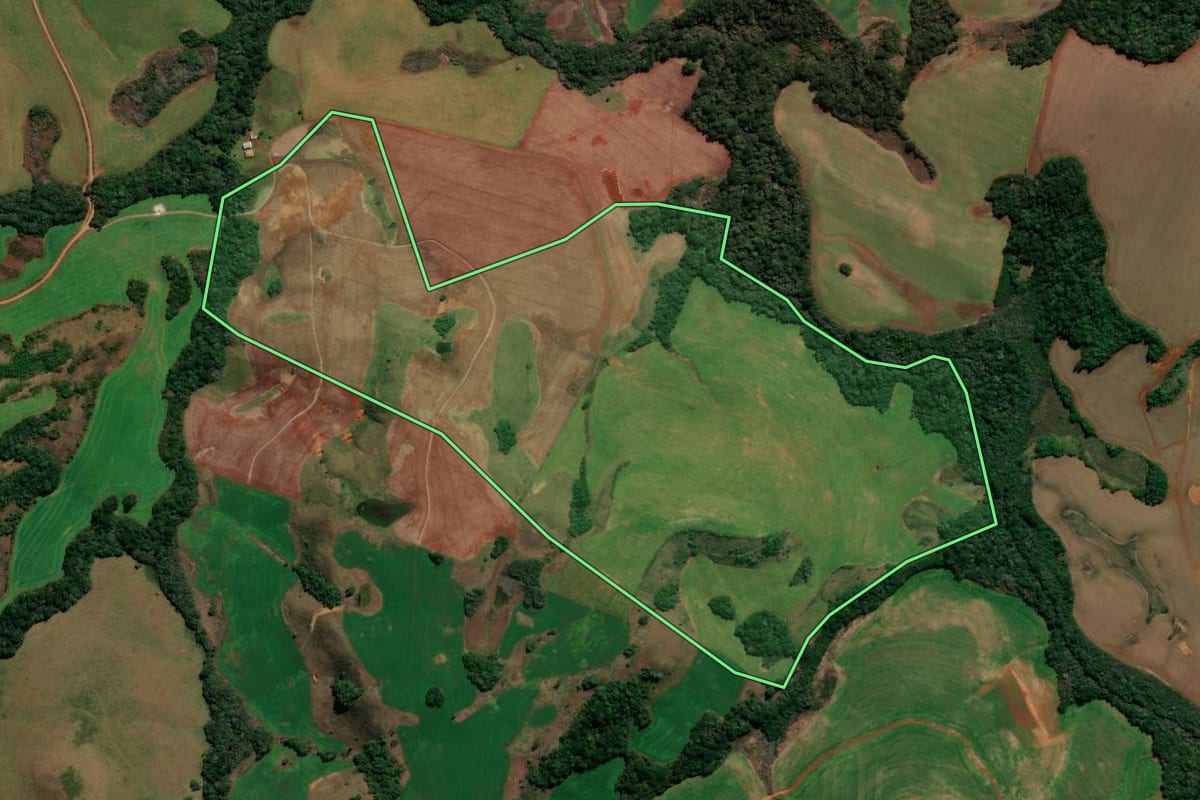 Imagem de satélite do imóvel rural em André da Rocha (RS), com o contorno declarado no CAR desenhado por cima.