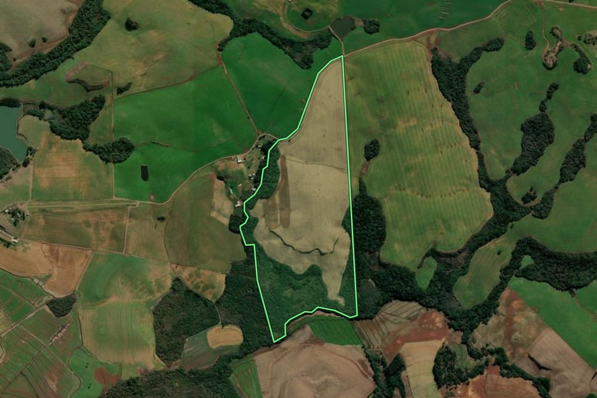 Imagem de satélite do imóvel rural em André da Rocha (RS), com o contorno declarado no CAR desenhado por cima.