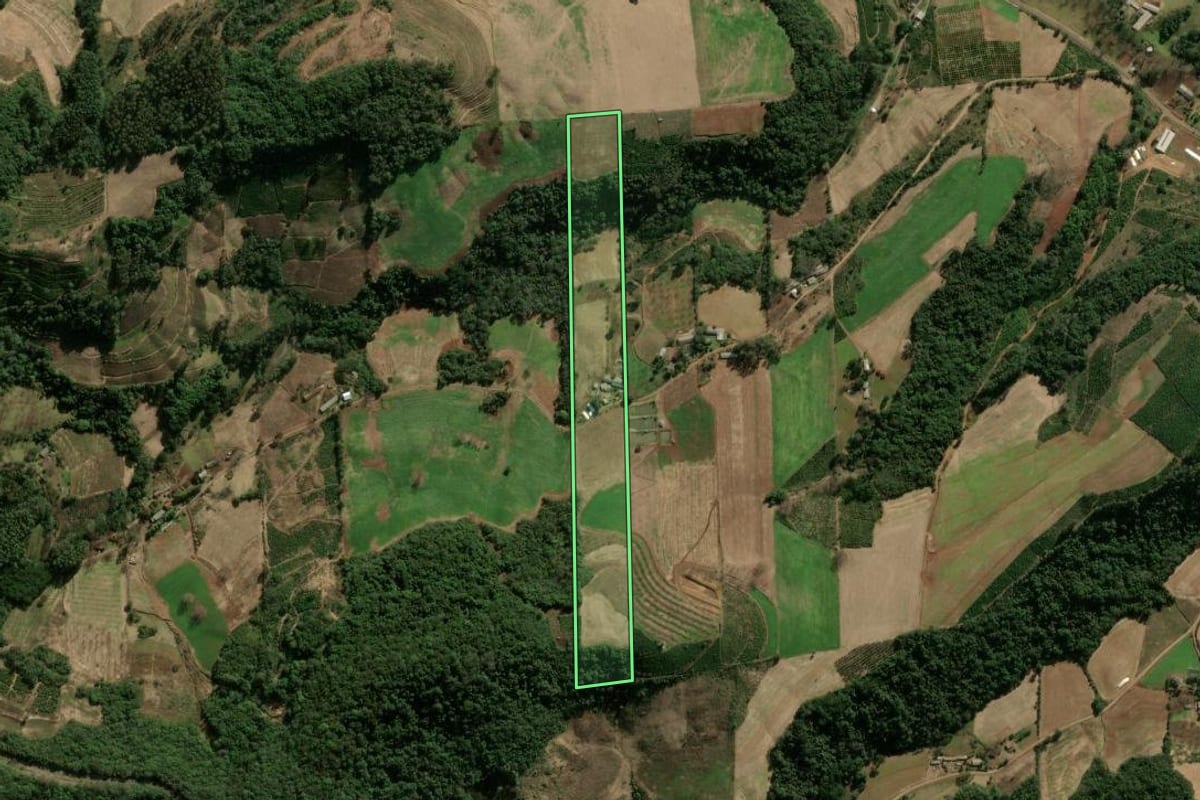 Imagem de satélite do imóvel rural em Anta Gorda (RS), com o contorno declarado no CAR desenhado por cima.