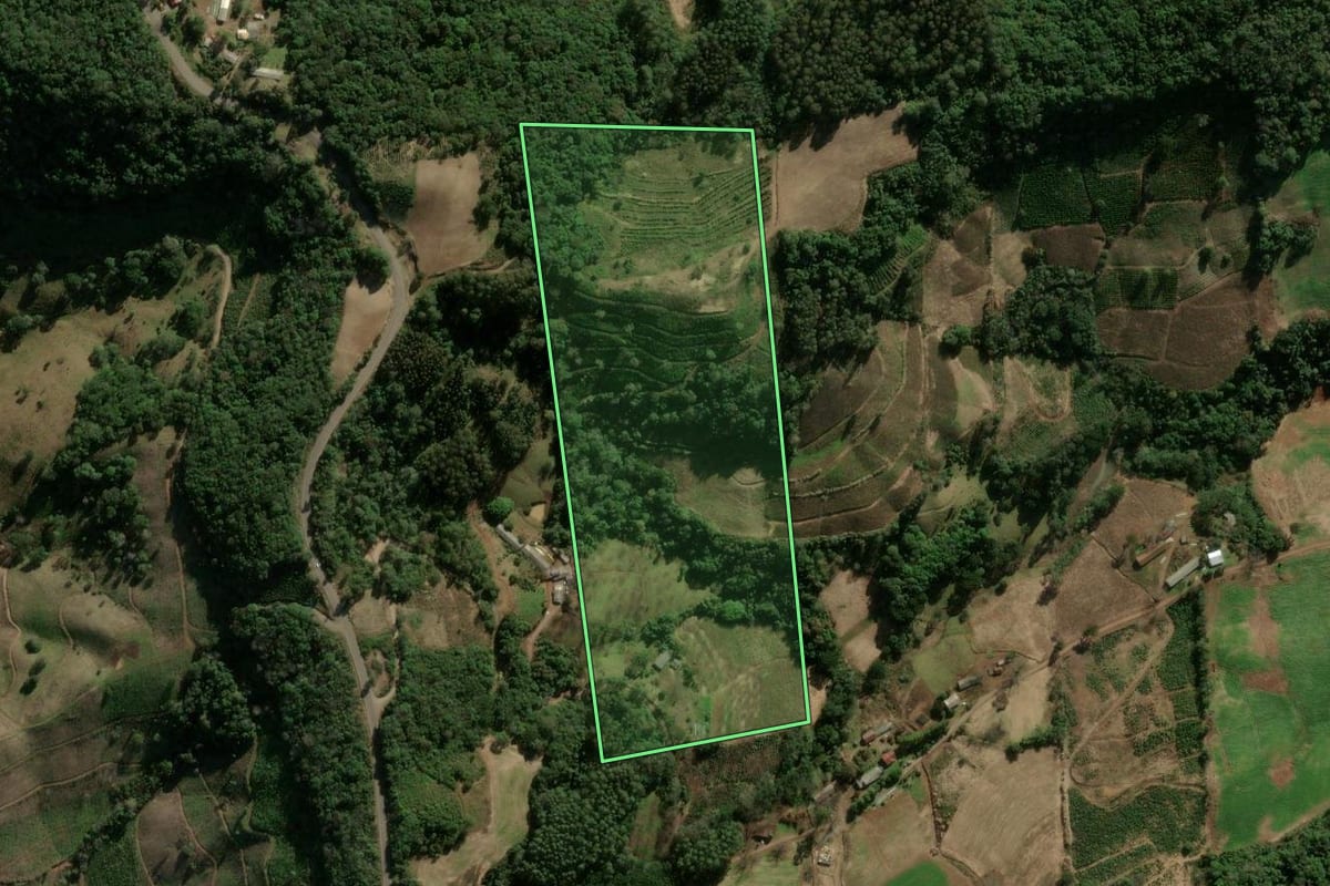 Imagem de satélite do imóvel rural em Anta Gorda (RS), com o contorno declarado no CAR desenhado por cima.