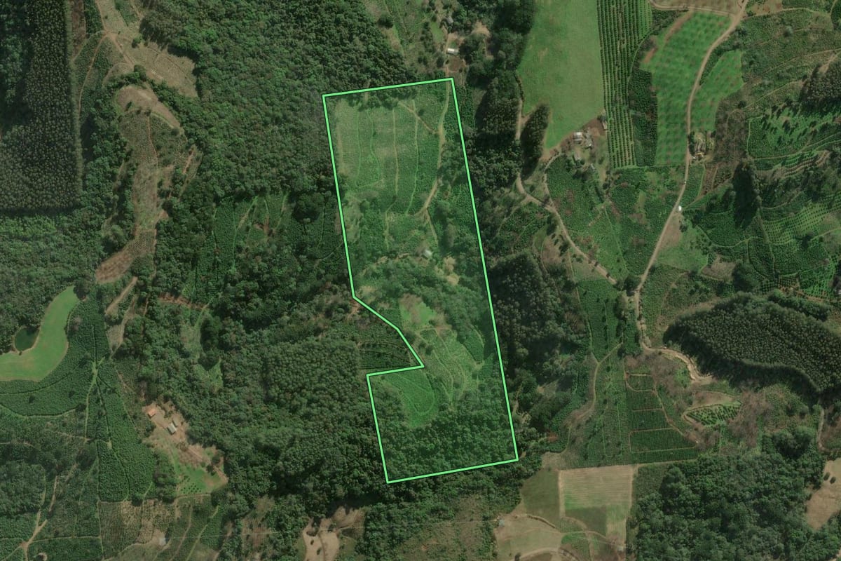 Imagem de satélite do imóvel rural em Anta Gorda (RS), com o contorno declarado no CAR desenhado por cima.