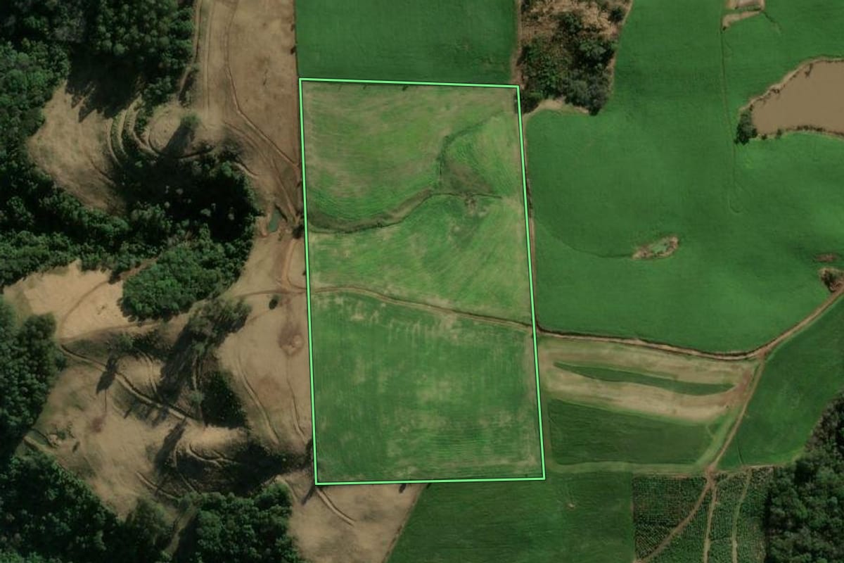 Imagem de satélite do imóvel rural em Anta Gorda (RS), com o contorno declarado no CAR desenhado por cima.