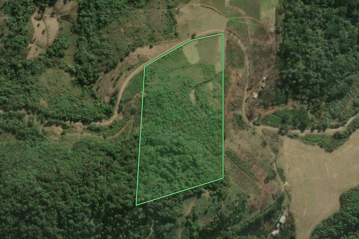Imagem de satélite do imóvel rural em Anta Gorda (RS), com o contorno declarado no CAR desenhado por cima.