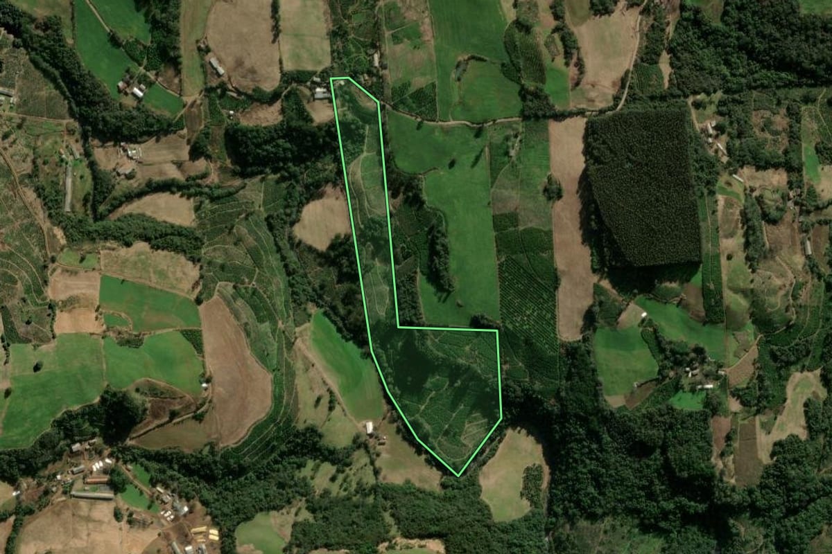 Imagem de satélite do imóvel rural em Anta Gorda (RS), com o contorno declarado no CAR desenhado por cima.