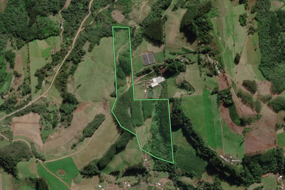 Imagem de satélite do imóvel rural em Anta Gorda (RS), com o contorno declarado no CAR desenhado por cima.