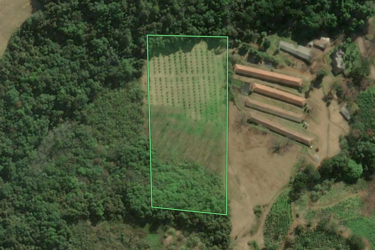 Imagem de satélite do imóvel rural em Anta Gorda (RS), com o contorno declarado no CAR desenhado por cima.
